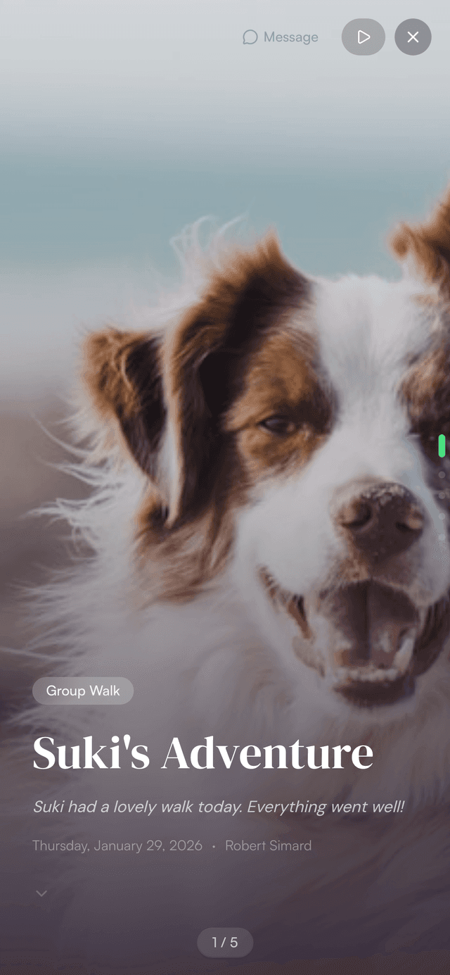 Walk story experience